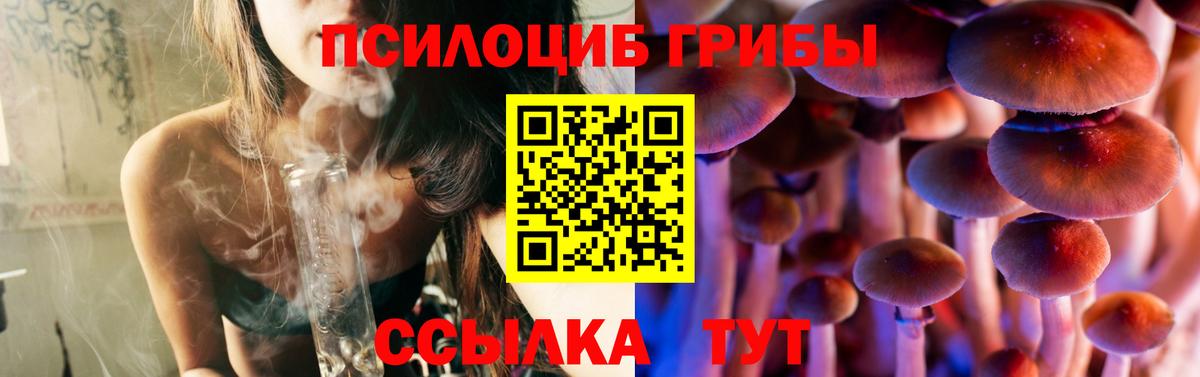 Химки  Галлюциногенные грибы Psilocybine cubensis  Вход с VPN  наркошоп  Галлюциногенные грибы Magic Shrooms 